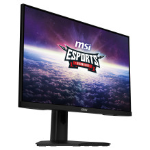MSI G244F E2 kompiuterio monitorius