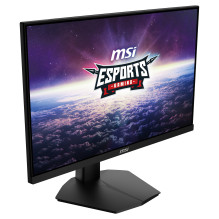 MSI G244F E2 computer monitor