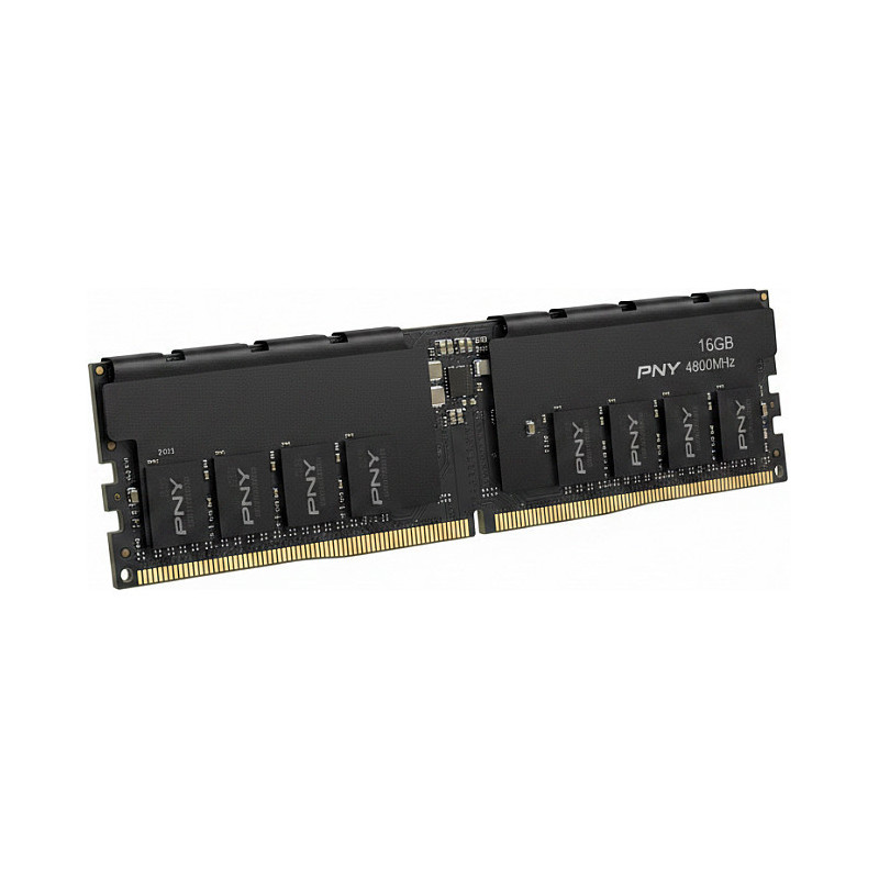 16 GB PNY DIMM našumo atmintis 4800 MHz (juoda)