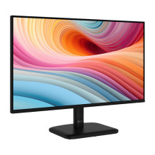 MSI PRO MP251L E2 computer monitor