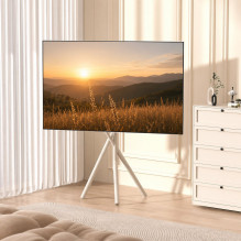 Maclean TV Floor Stand / Mount, 37-80", max. VESA 600x400, max. 60 kg, MC-182 W