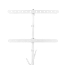 Maclean TV Floor Stand / Mount, 37-80", max. VESA 600x400, max. 60 kg, MC-182 W