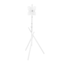 Maclean TV Floor Stand / Mount, 27-55", max. VESA 200x200, max. 60 kg, MC-181 W Maclean TV Floor Stand / Mount, 27-55", max. VESA 200x200, max. 60 kg, MC-181 W