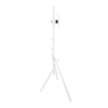 Maclean TV Floor Stand / Mount, 27-55", max. VESA 200x200, max. 60 kg, MC-181 W Maclean TV Floor Stand / Mount, 27-55", max. VESA 200x200, max. 60 kg, MC-181 W