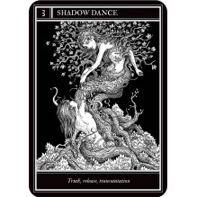 Kolekcionuojamos Kortelės - Coven Oracle Cards 36 Kortelės, 325g, 14.0 x 10.0 x 3cm
