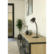 Desk luminaire Eglo Carlo 901828, E14, 18W Desk luminaire Eglo Carlo 901828, E14, 18W