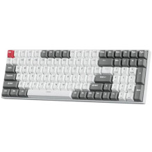 ROYAL KLUDGE RK100...