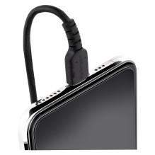 StarTech.com RUSB2ALT1MBC lightning cable