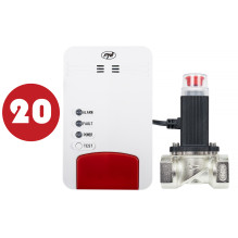 Bax with 20bc PNI Safe House Dual Gas 250 Kit with sensors for 2 types of gas carbon monoxide (CO) and natural gas and 3 Bax with 20bc PNI Safe House Dual Gas 250 Kit with sensors for 2 types of gas carbon monoxide (CO) and natural gas and 3