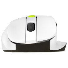 Asus Wireless Mouse MD105 green Asus Wireless Mouse MD105 green
