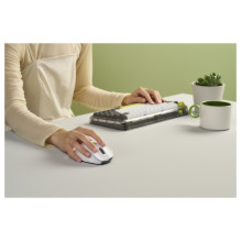 Asus Wireless Mouse MD105 green Asus Wireless Mouse MD105 green