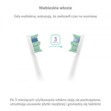 Elektrinė Šepetėlis - TrueLife SonicBrush Clean30 Duo, 70,000 Judesių / Min, USB-C Elektrinė Šepetėlis - TrueLife SonicBrush Clean30 Duo, 70,000 Judesių / Min, USB-C