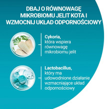 PURINA One Bifensis Sensitive Rich in turkey - dry cat food - 750g PURINA One Bifensis Sensitive Rich in turkey - dry cat food - 750g