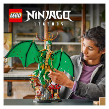 LEGO NINJAGO The Guardian Dragon