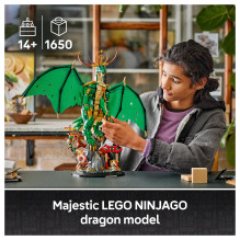 LEGO NINJAGO The Guardian Dragon