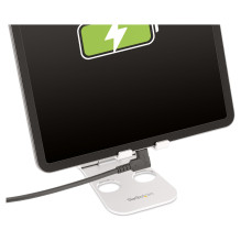 StarTech.com RUSB31CC1MBR USB cable