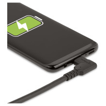 StarTech.com RUSB31CC1MBR USB cable