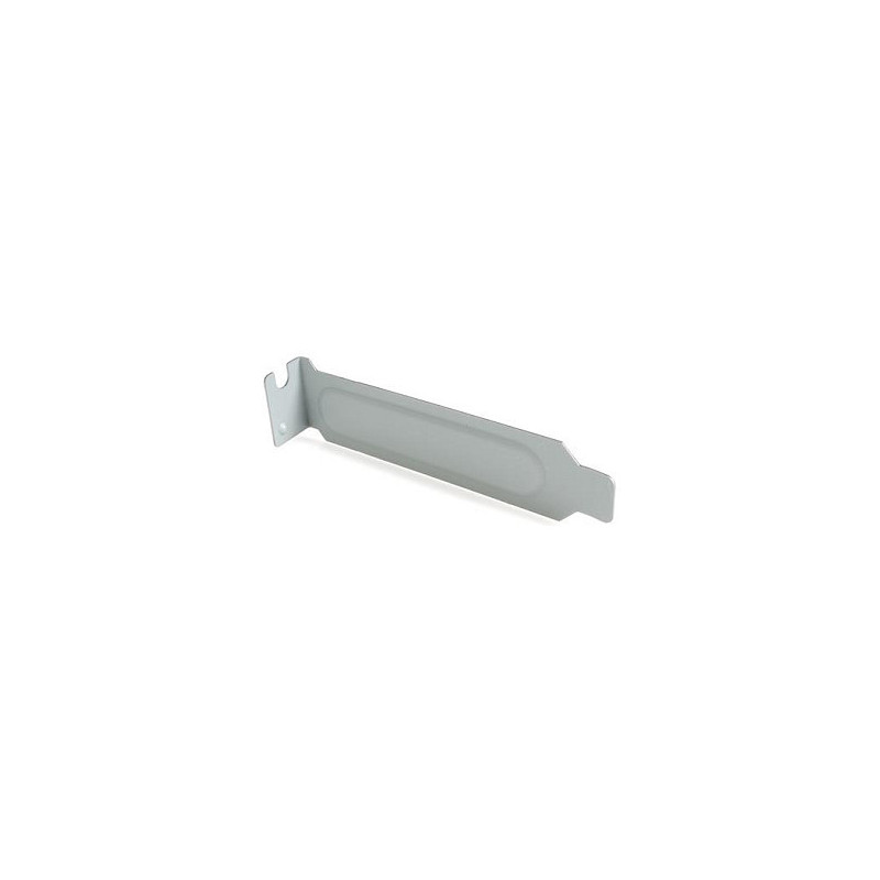 StarTech.com PLATEBLANKLP computer case part