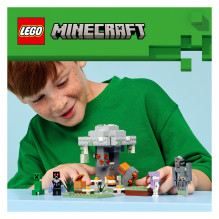 LEGO Minecraft 21586 building toy LEGO Minecraft 21586 building toy