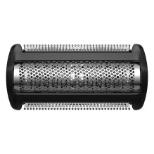 Philips TT2000 / 43 shaver...
