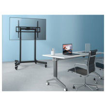 EQUIP 650632 Bodenstandhalter Min. 139,7 cm (55") Max. 2,54 m (100") Max. VESA 800 x 600 mm 120 kg Schwarz