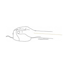 BakkerElkhuizen Evoluent4 mouse