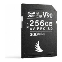 Angelbird Technologies AV...