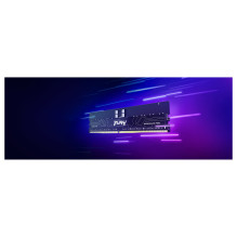 Kingston Technology FURY Renegade Pro memory module