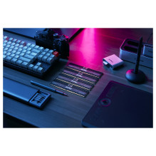 Kingston Technology FURY Renegade Pro memory module