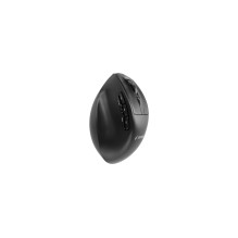 Gembird MUSW3-9B-01 Triple-mode wireless ergonomic mouse (2.4G + BT + USB), 2400 DPI, 9-button, black Gembird MUSW3-9B-01 Triple-mode wireless ergonomic mouse (2.4G + BT + USB), 2400 DPI, 9-button, black