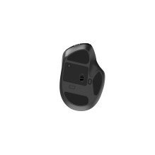 Gembird MUSW2-6B-02 Dual-mode wireless mouse (2.4G + BT), 2400 DPI, 6-button, black
