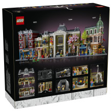 LEGO Icons - Naturhistorisches Museum