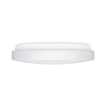 STEINEL RS PRO P2 ceiling lighting STEINEL RS PRO P2 ceiling lighting