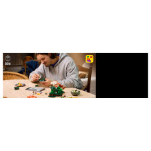 LEGO Botanicals Waldpilze LEGO Botanicals Waldpilze