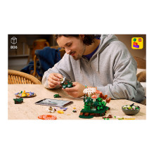 LEGO Botanicals Waldpilze LEGO Botanicals Waldpilze
