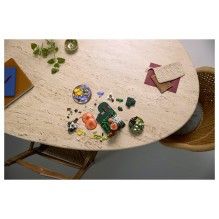 LEGO Botanicals Waldpilze LEGO Botanicals Waldpilze