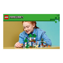 LEGO Minecraft 21593 building toy LEGO Minecraft 21593 building toy