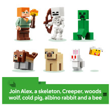 LEGO Minecraft 21593 building toy LEGO Minecraft 21593 building toy