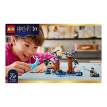 LEGO Haris Poteris Verbotener Wald: Expecto Patronum