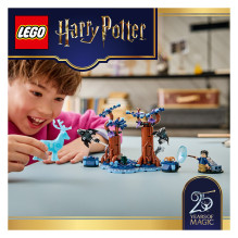 LEGO Haris Poteris Verbotener Wald: Expecto Patronum