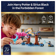 LEGO Haris Poteris Verbotener Wald: Expecto Patronum