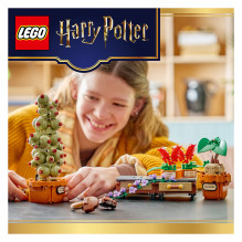 LEGO Harry Potter Hogwarts Castle: Herbology Plants LEGO Harry Potter Hogwarts Castle: Herbology Plants