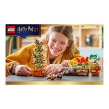 LEGO Harry Potter Hogwarts Castle: Herbology Plants LEGO Harry Potter Hogwarts Castle: Herbology Plants