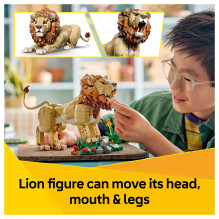 LEGO kūrėjas Wilde Pakopa: Majestätischer Löwe LEGO kūrėjas Wilde Pakopa: Majestätischer Löwe