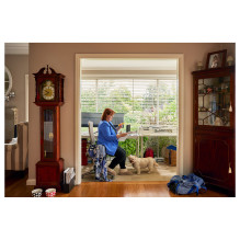 HP Elite t655 Bundle