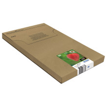 Epson Strawberry C13T29864511 ink cartridge Epson Strawberry C13T29864511 ink cartridge