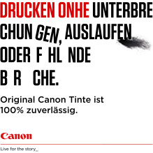 Canon PGI-580 / CL-581 ink cartridge