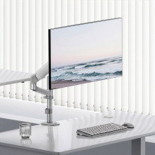 Ergo Office Monitor Mount /...