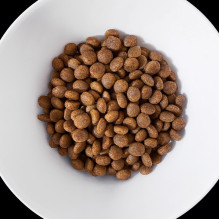 VET RESPONSE hipoalerginis sausas šunų ėdalas – 8 kg VET RESPONSE hipoalerginis sausas šunų ėdalas – 8 kg