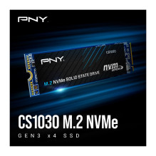 M.2 2TB PNY CS1030 M280CS1030-2TB-RB 0,132 DWPD 2280 PCIe 3.0 x4 (NVMe) SSD M.2 2TB PNY CS1030 M280CS1030-2TB-RB 0,132 DWPD 2280 PCIe 3.0 x4 (NVMe) SSD